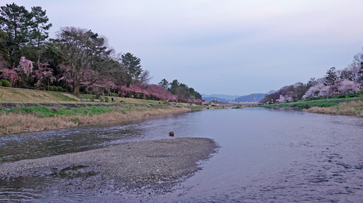 200403_minami.jpg