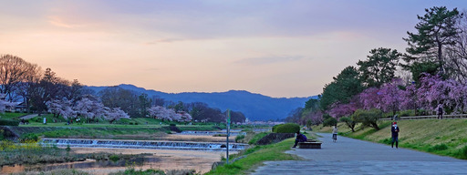 200403_nakaragi1.jpg