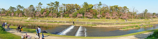 200404_nakaragi1.jpg
