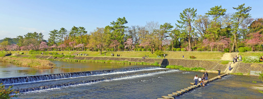 200404_nakaragi2.jpg