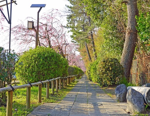 200404_nakaragi3.jpg