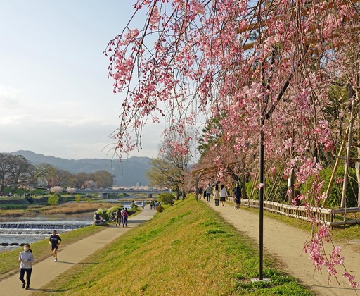 200404_nakaragi5.jpg