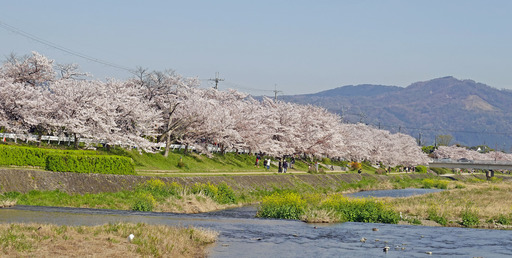 200407_daimonji.jpg