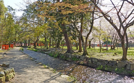 200407_ogawa.jpg