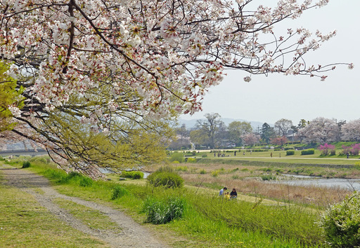 200408_kazoku.jpg