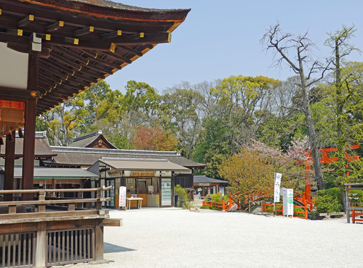 200408_keidai.jpg