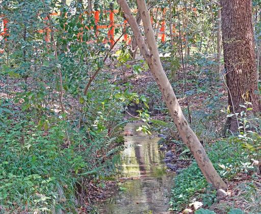 200408_naranoogawa.jpg