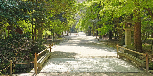 200408_sando.jpg
