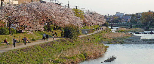 200409_takano2.jpg