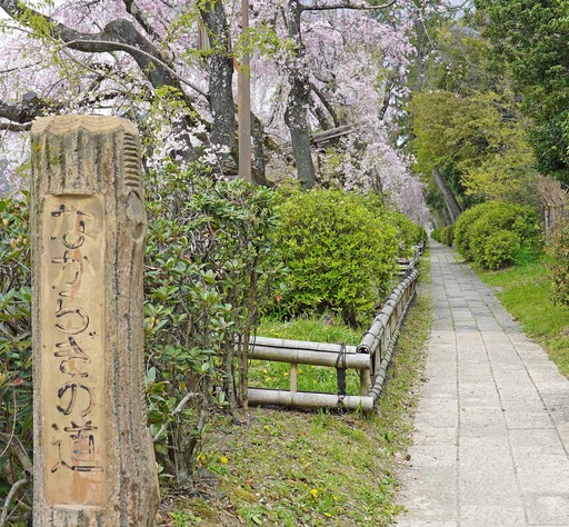 200411_nakaragi1.jpg