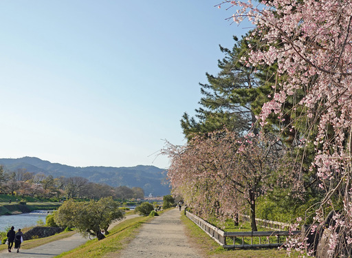 200414_nakaragi1.jpg