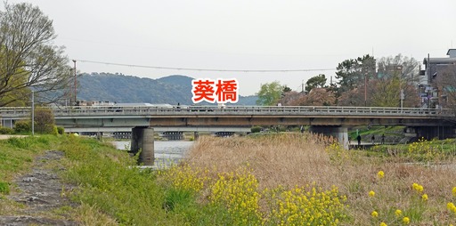 200415_aoi.jpg