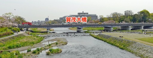 200415_kamooohasi.jpg