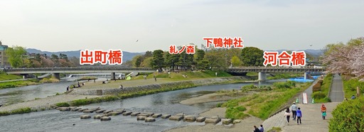 200415_kawai.jpg