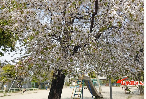 200415_park.jpg