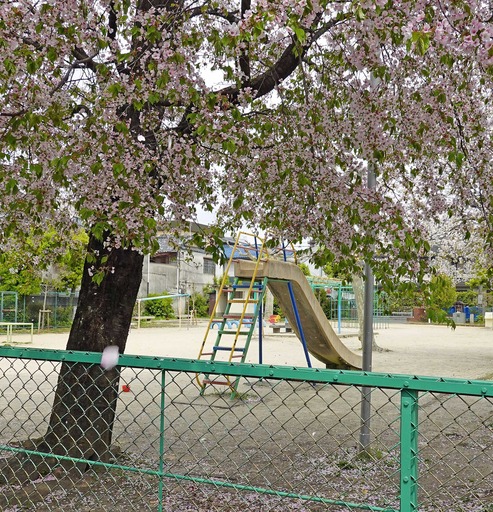 200417_tiru.jpg