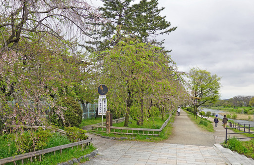 200420_nakaragi1.jpg