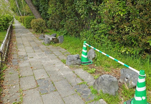 200421_benchi1.jpg
