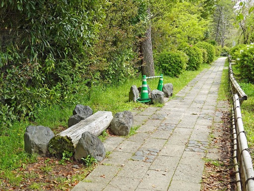 200421_benchi2.jpg