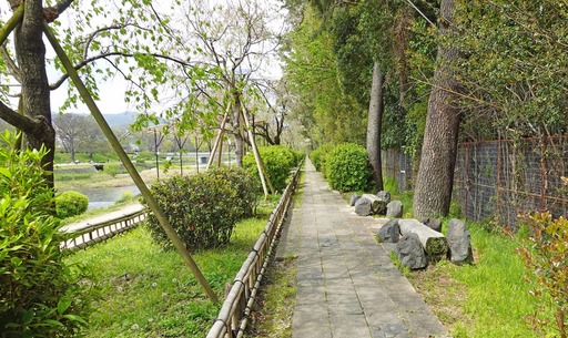 200421_benchi3.jpg