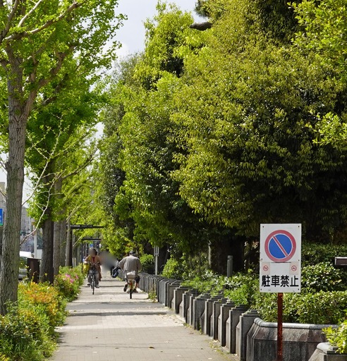 200423_kyodai1.jpg