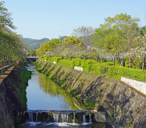 200425_iwakuragawa.jpg