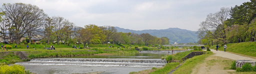 200426_nakaragi1.jpg