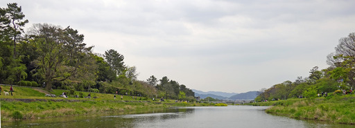 200426_nakaragi2.jpg