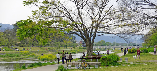 200426_nakaragi3.jpg