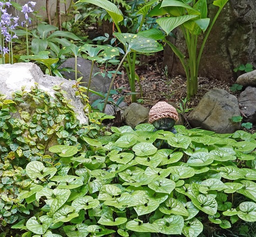 200428_jizo.jpg