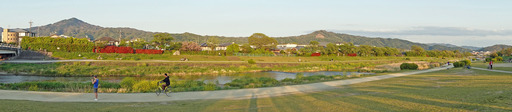 200428_kamo1.jpg
