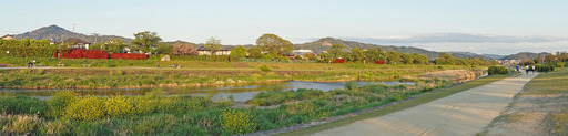 200428_kamo2.jpg