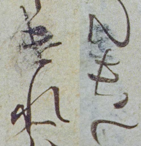 200429_nazori2taihi.jpg