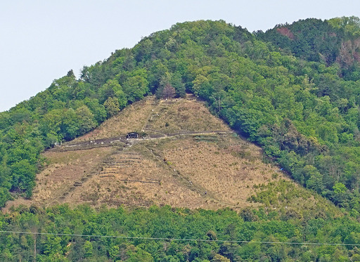 200505_daimonji.jpg