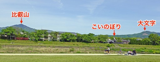 200505_koinobori.jpg