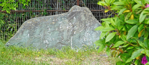 200508_hibun.jpg