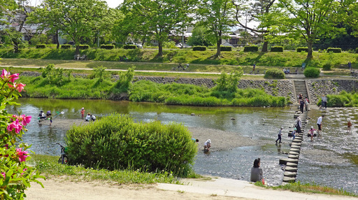 200508_tonton.jpg