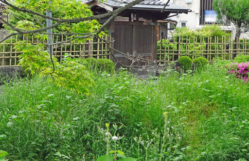 200509_sosui2.jpg