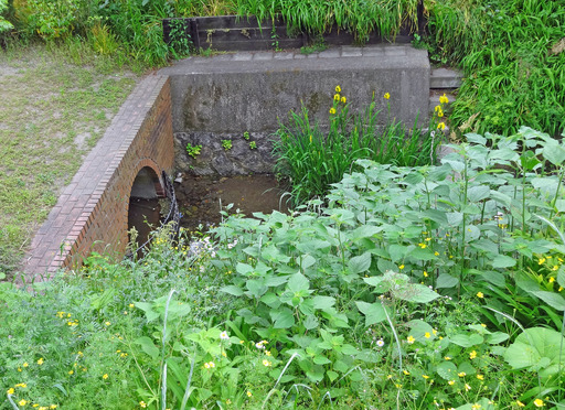 200509_sosui3.jpg