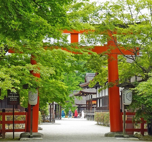200515_gisiki.jpg