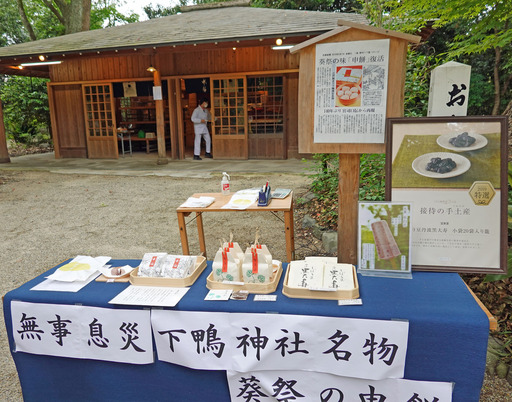 200515_sarumoti.jpg
