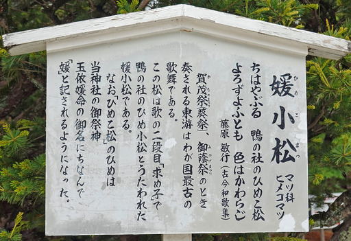 200515_setsumei.jpg