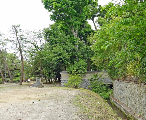 200518_mitui.jpg