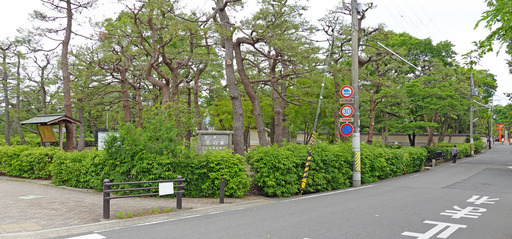 200518_park1.jpg