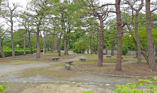 200518_park2.jpg