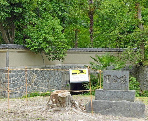 200518_park3.jpg