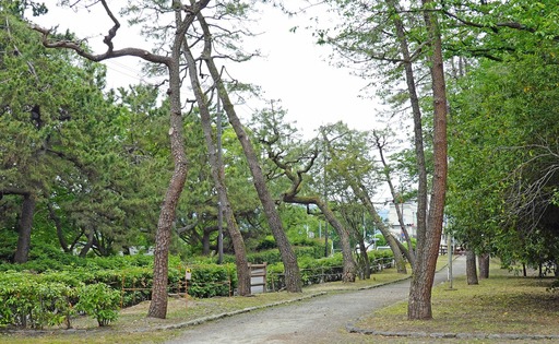 200518_park4.jpg