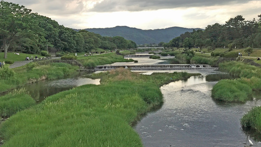 200524_kamagawa2.jpg