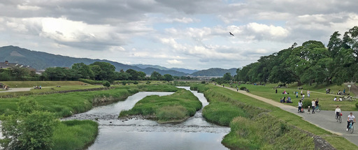 200524_kamogawa1.jpg