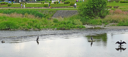 200527_kurou.jpg